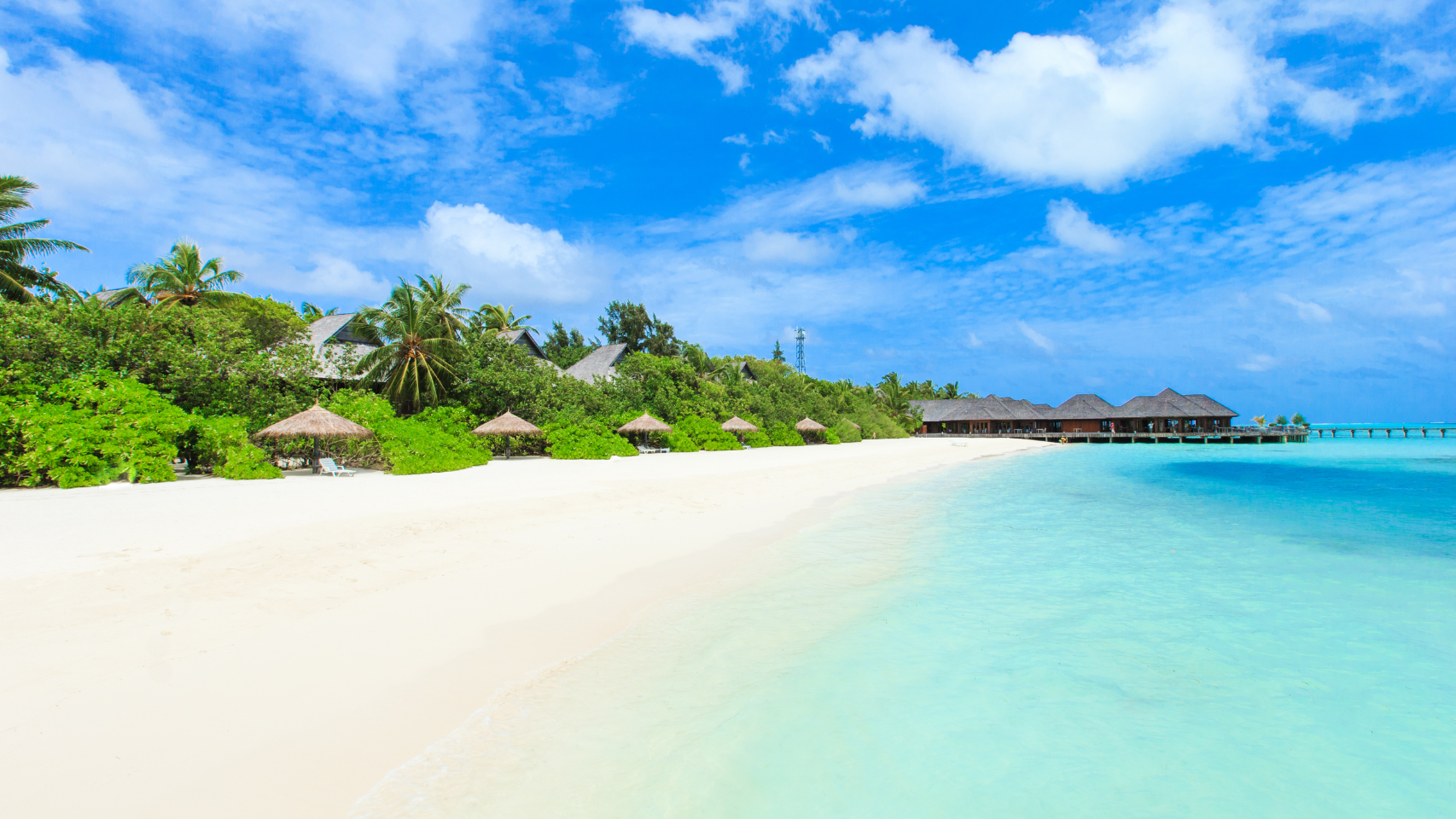 The Maldives