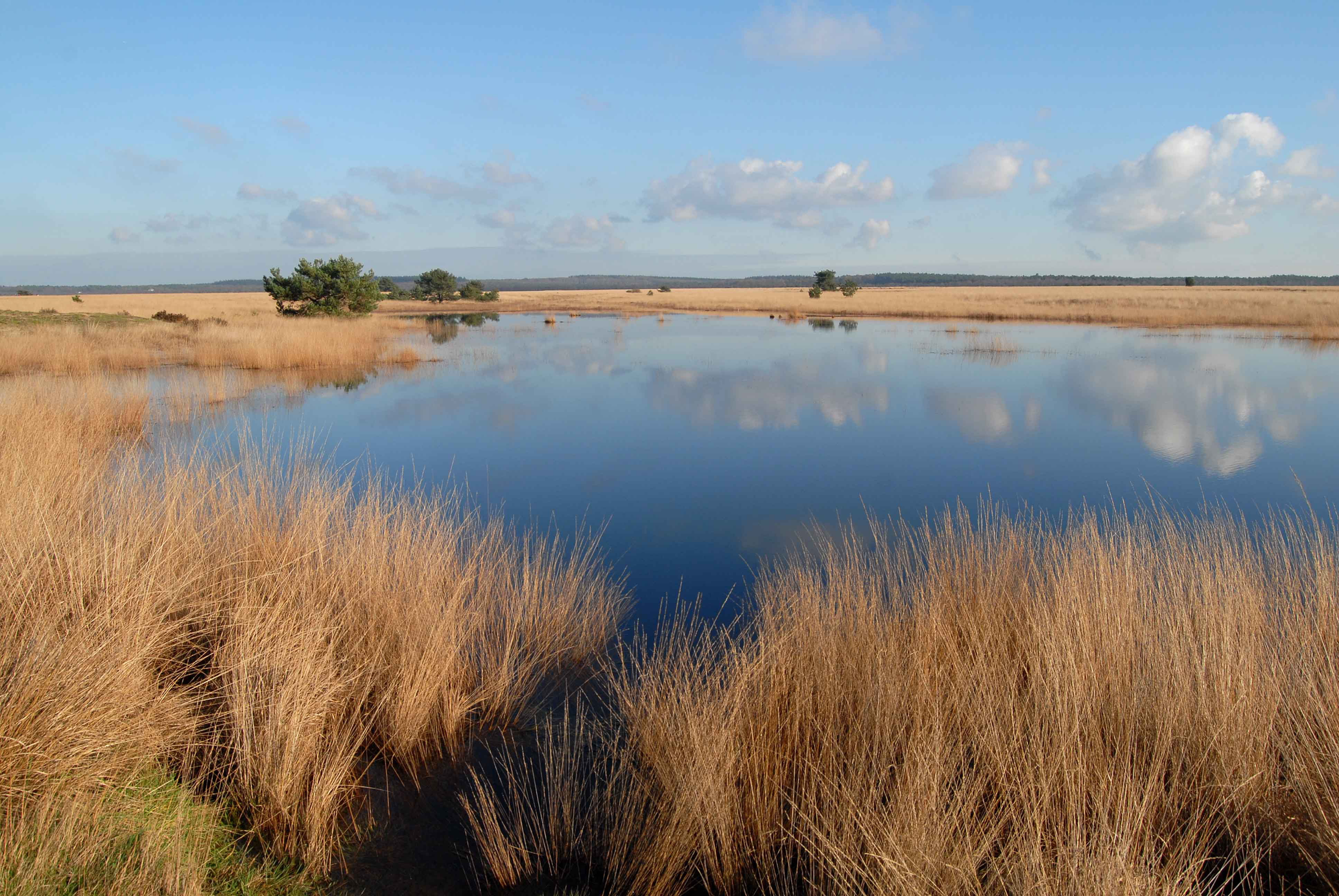 De Hoge Veluwe National Park