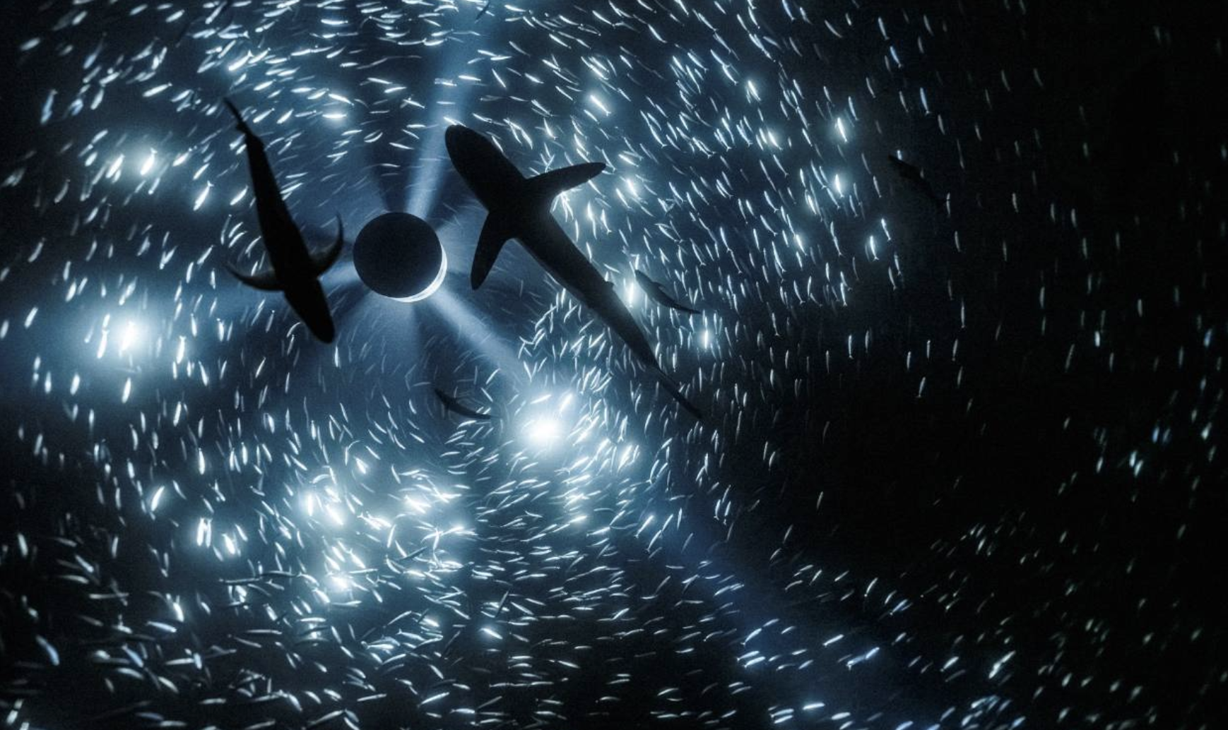 Julian Charrière, «Midnight Zone - 85 Fathoms», 2024 © 2025 ProLitteris, Zürich; Copyright the artist