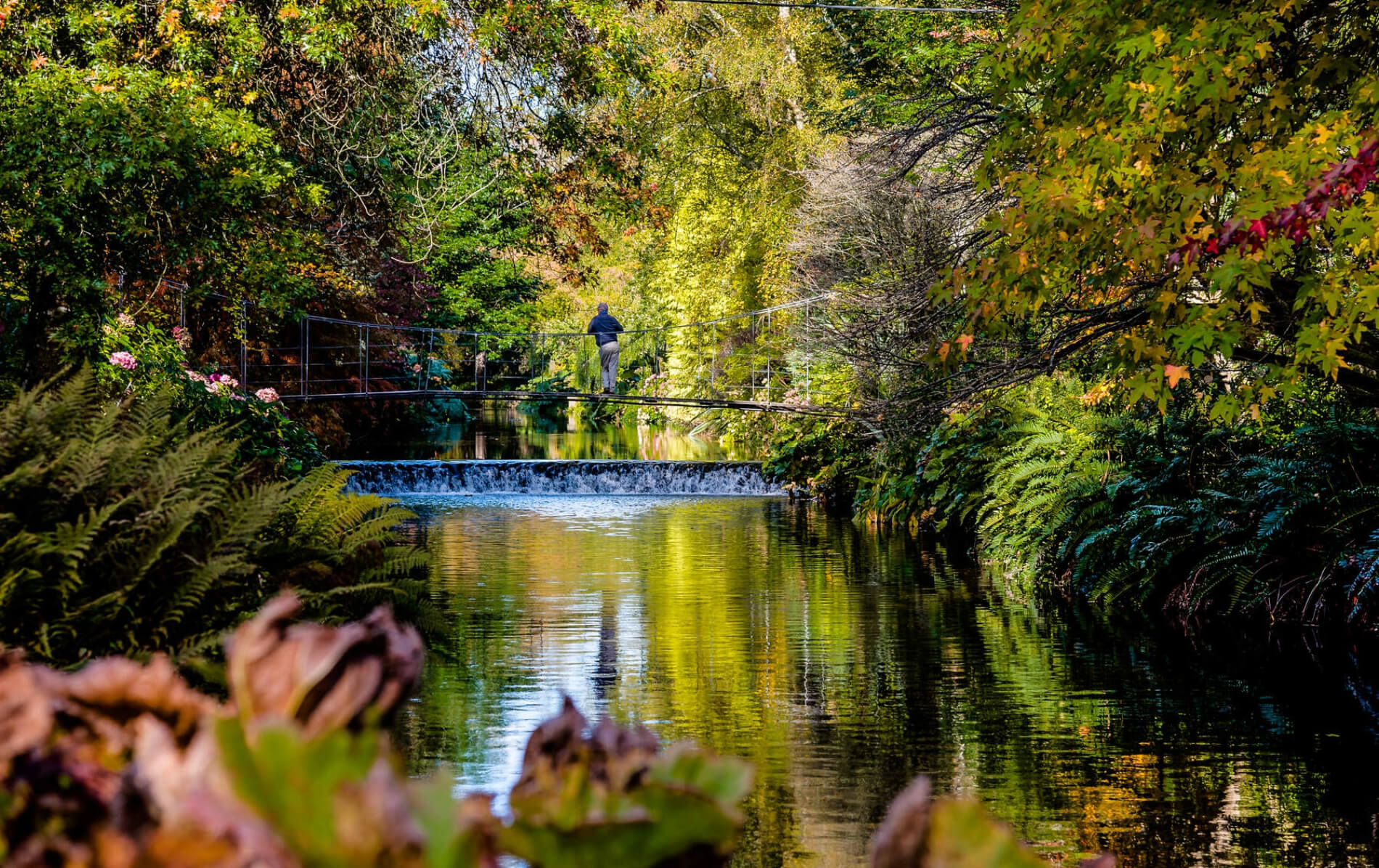 Mount Usher in County Wicklow