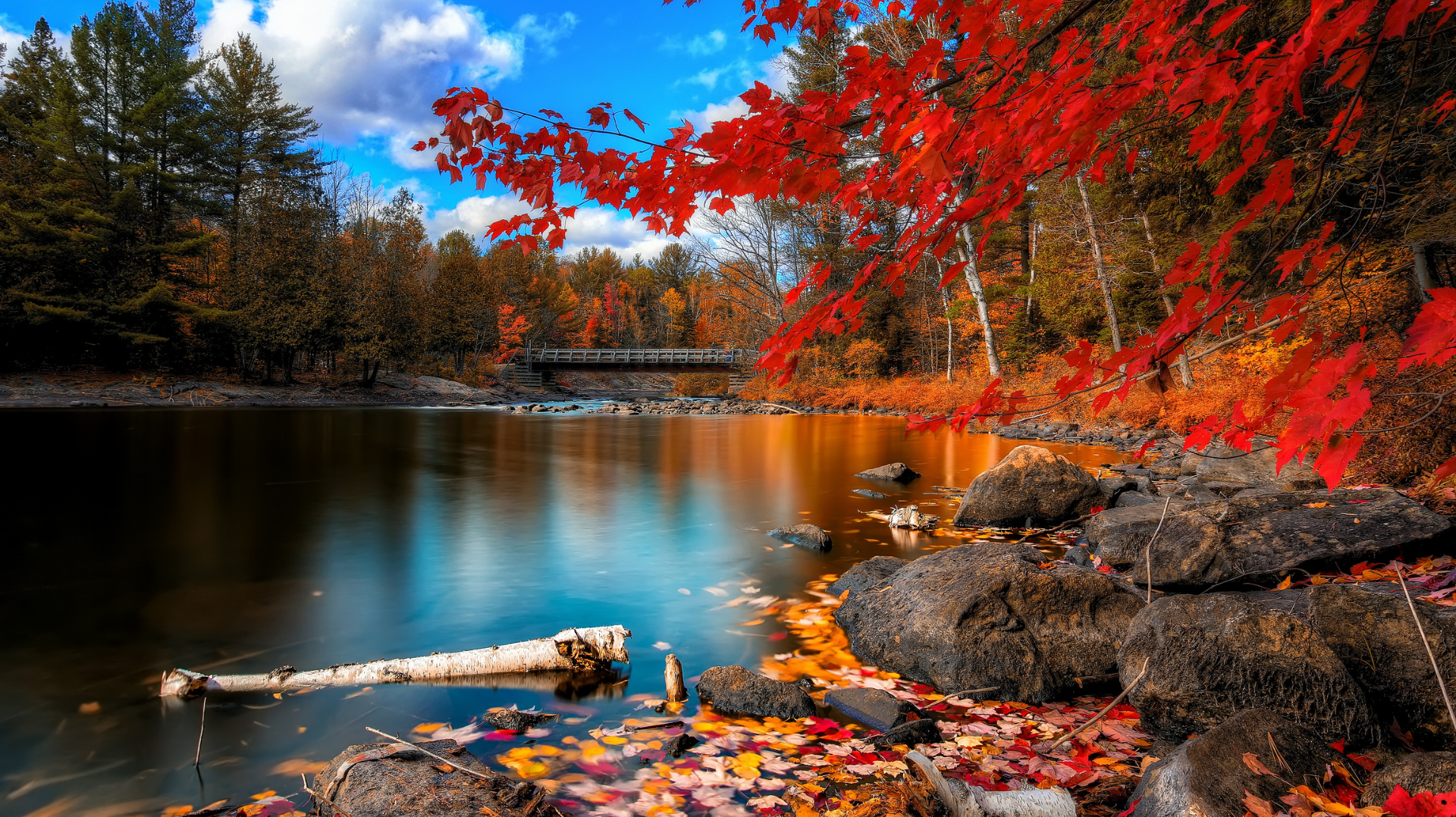 Europe in Autumn