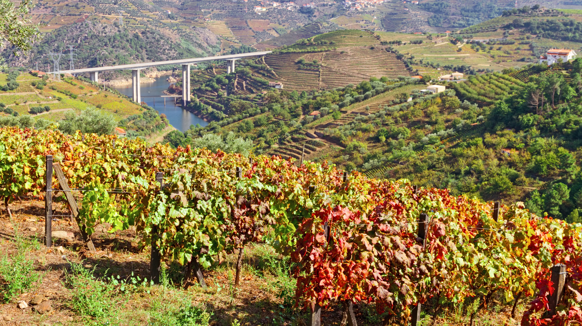 Douro Valley