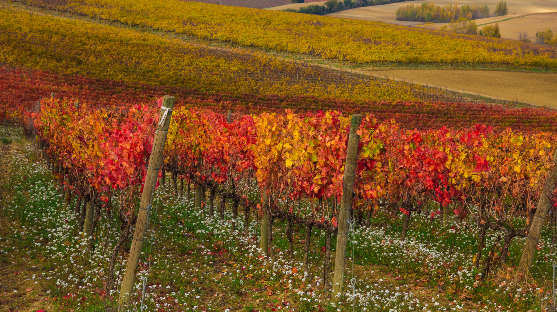 Europe in Autumn