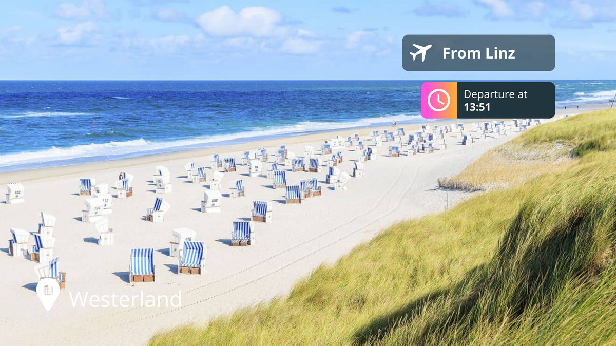 Last-Minute Private Jet Deal: Linz to Westerland for 90% Off!