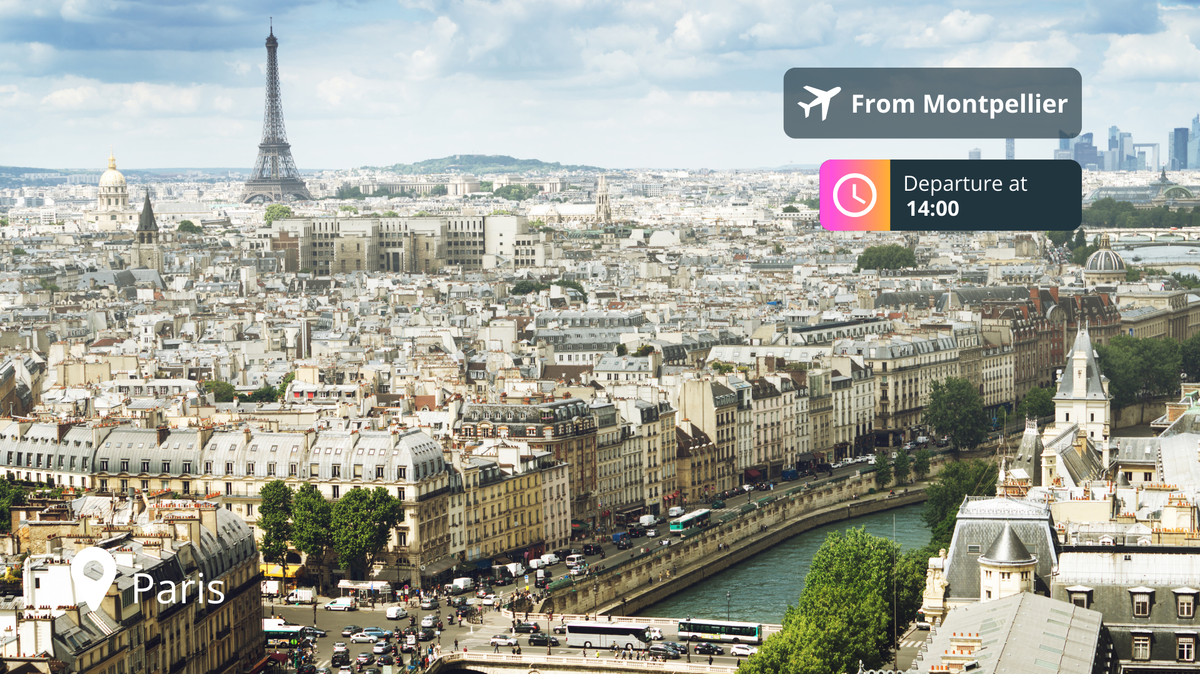 Last-Minute Private Jet Deal: Montpellier to Paris for 87% Off!