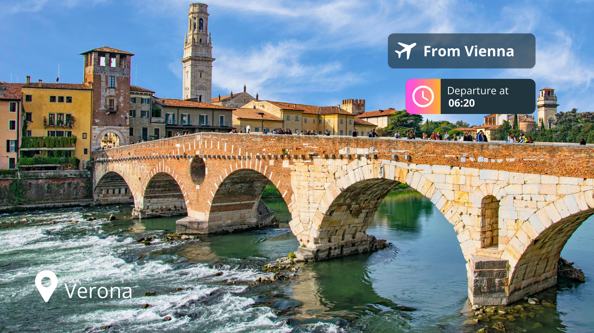 Last-Minute Private Jet Deal: Vienna to Verona for 88% Off!