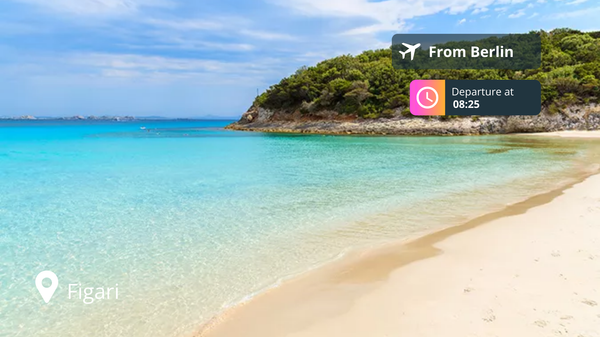 Last-Minute Private Jet Deal: Berlin to Figari for 91% Off!