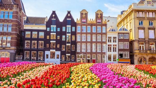 The Best Places to Visit in the Netherlands Beyond the Canals