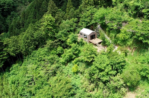 THEATER1 sits alone on a vast 16,500 square meters of untouched wilderness.