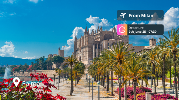 Last-Minute Private Jet Deal: Milan to Palma for 89% Off!