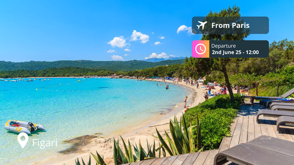 Last-Minute Private Jet Deal: Paris to Figari for 90% Off!