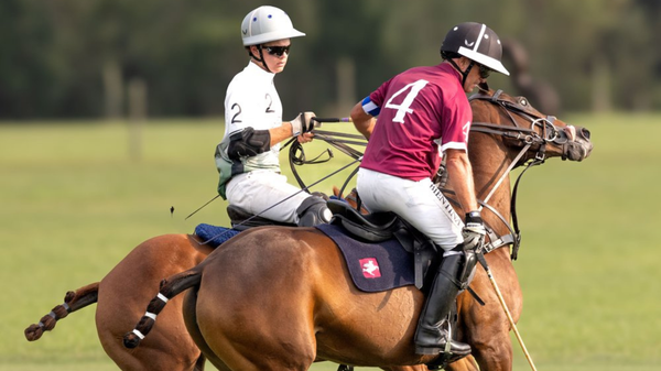 The Gentle Disruption of Polo in the Hamptons